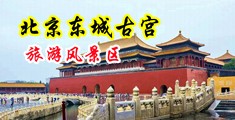 大色b在线干中国北京-东城古宫旅游风景区